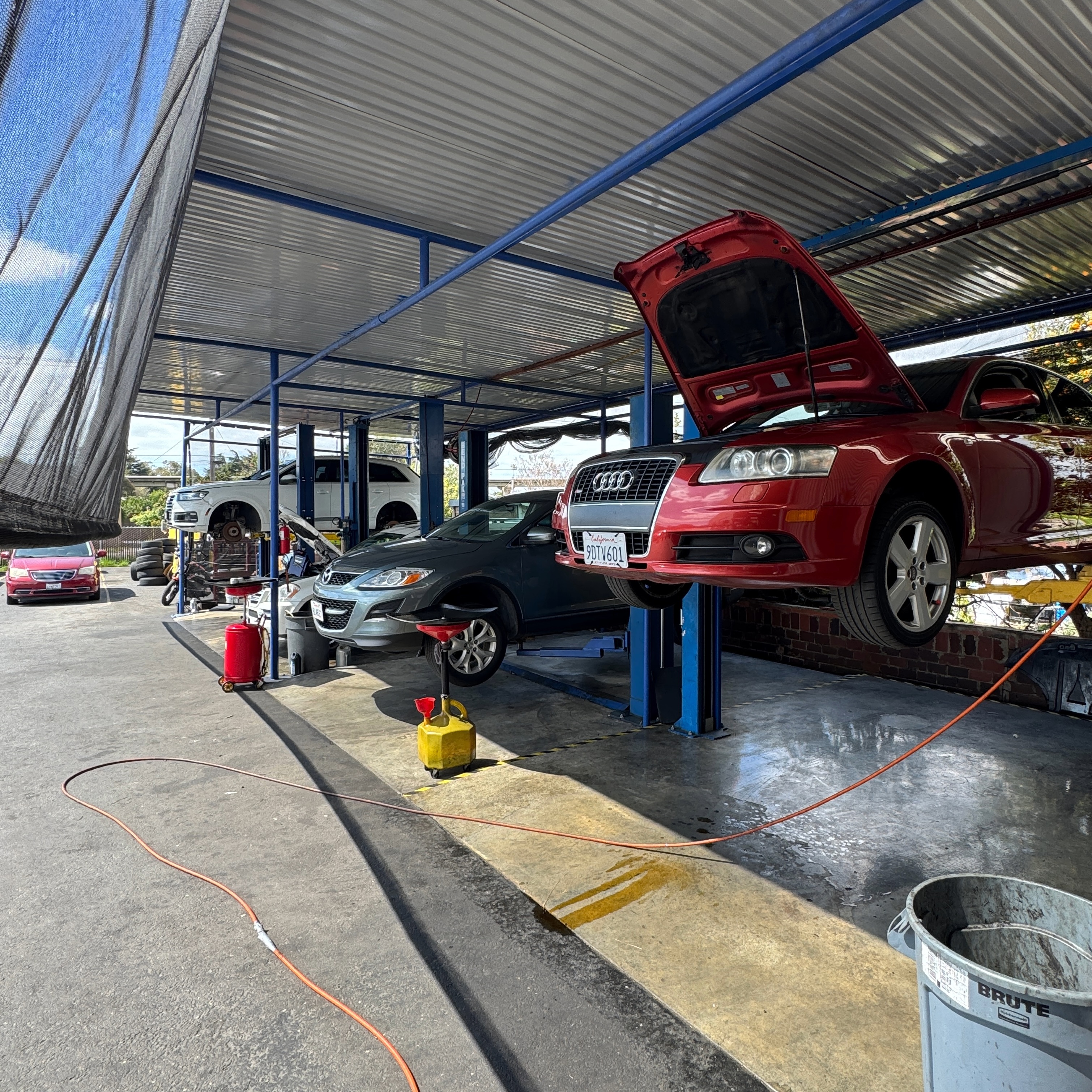 Cars on lifts getting worked on